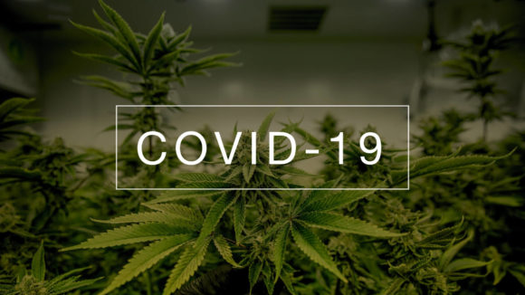 4 Ways COVID-19 Will Change Cannabis and Insurance